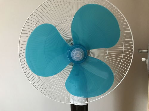 出事故的風扇