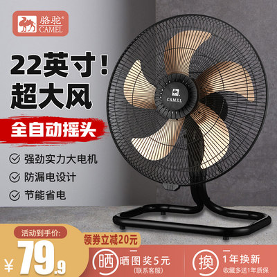 夏日清涼新寵 探究當下網購熱門風扇產品趨勢與選購指南